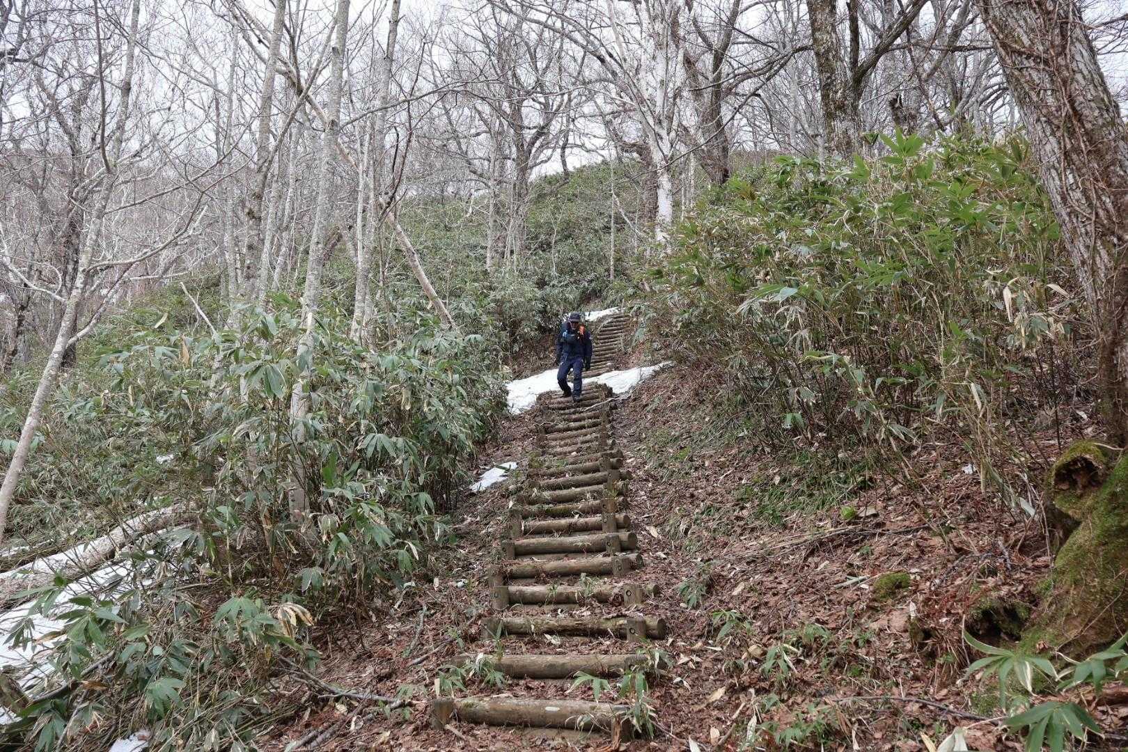 Aコース登山口-神居尻山-開拓台-Cコース登山口 縦走コースの写真