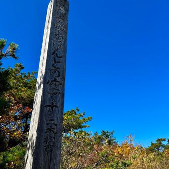 ほんとの空