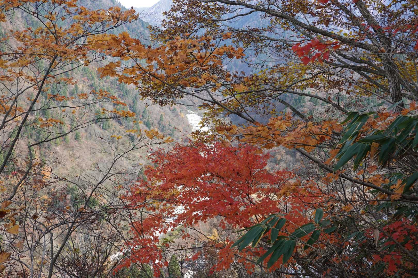 中山登山口-中山-剱岳早月尾根登山口 縦走コースの写真