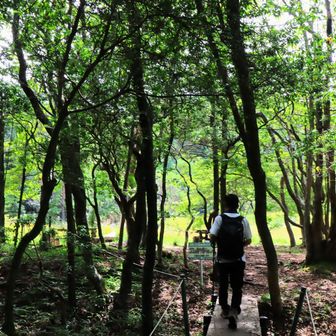 ベンチも沢山あって、のんびり出来そう
いい感じ✨