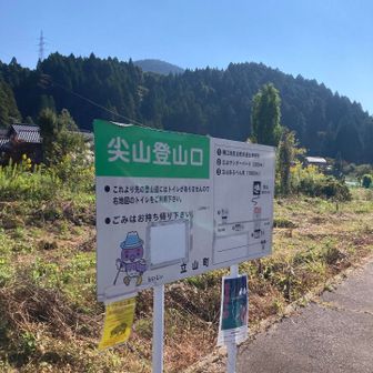 ボチボチスタート。