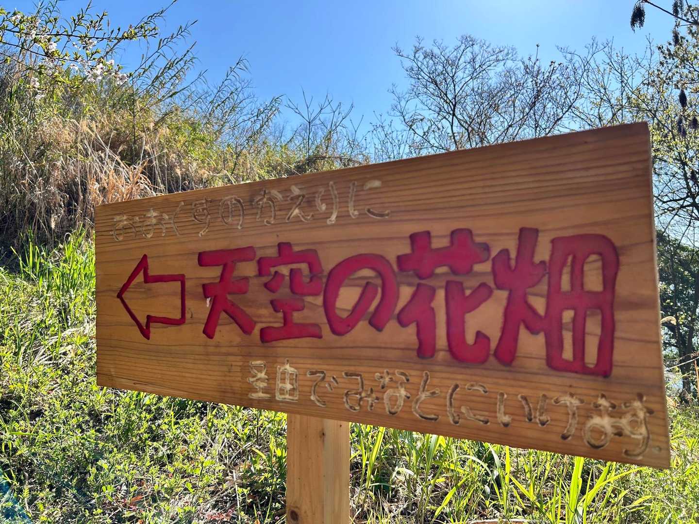 天空の花畑-横尾の辻 周回コースの写真