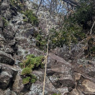 核心部

ぷち逆層スラブみたいになってて、あまり掴める箇所がないし、踏んでた岩も一個土から浮いてもげたりした

ロープは古そうだけど、今のところ強度はしっかりしていた感
怖いのでサポート程度に利用しつつ進む