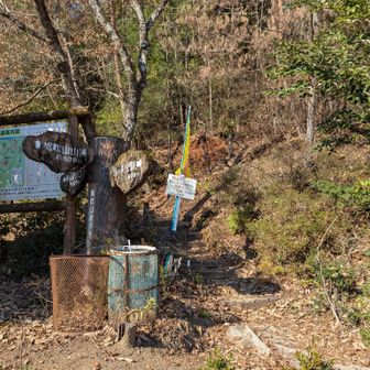 おつかれ山でした。