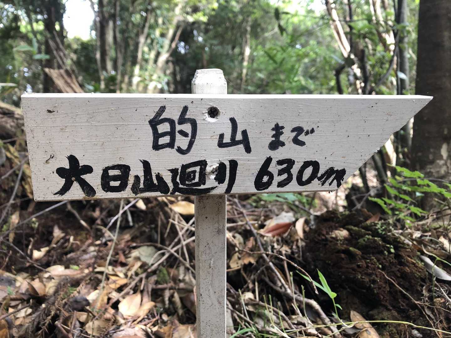 分岐