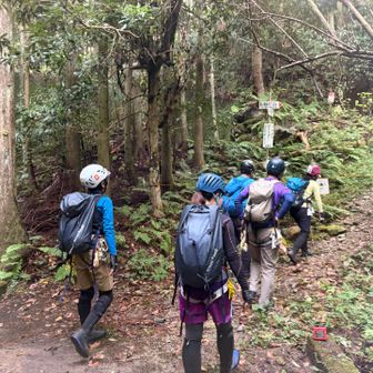 私が山を始める前の事故で
通行禁止になっていた洗谷ルート

山岳会に入る前にハイキングで井原山〜雷山縦走した時に【通行禁止】の看板見て
「危険ルートは絶対行きません」と思っていましたが
経験値をそれなりにあげた（はず）＆信頼できるお仲間たちとで沢登りへGO