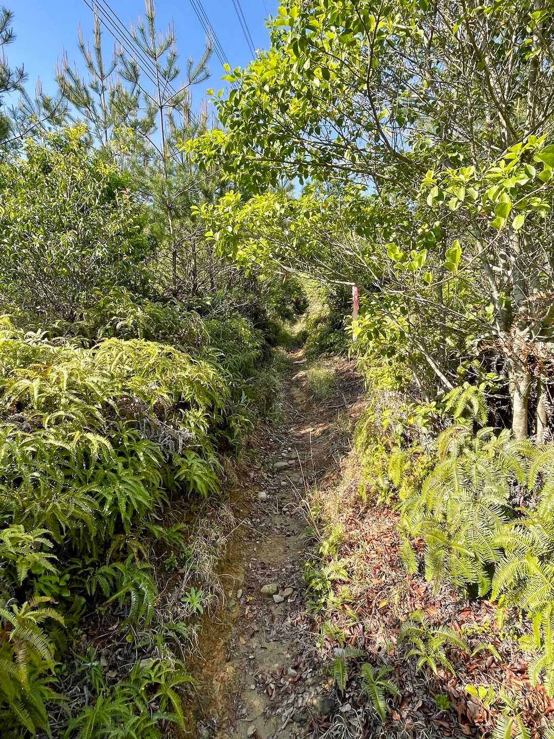 南郷バス停-立木山-袴腰山-袴腰山登り口 縦走コースの写真