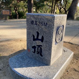 標高26m、茶臼山登頂🙌