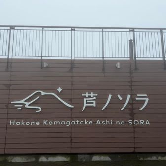 降りはロープウェイを使って浮いた時間で箱根神社まで歩きます