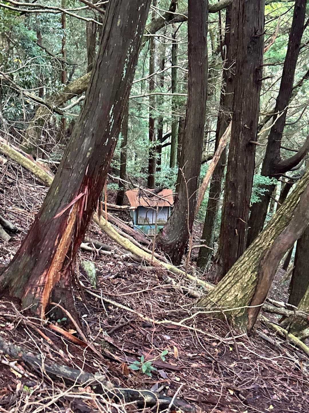 辻ヶ峰登り口-辻ヶ峰 周回コースの写真