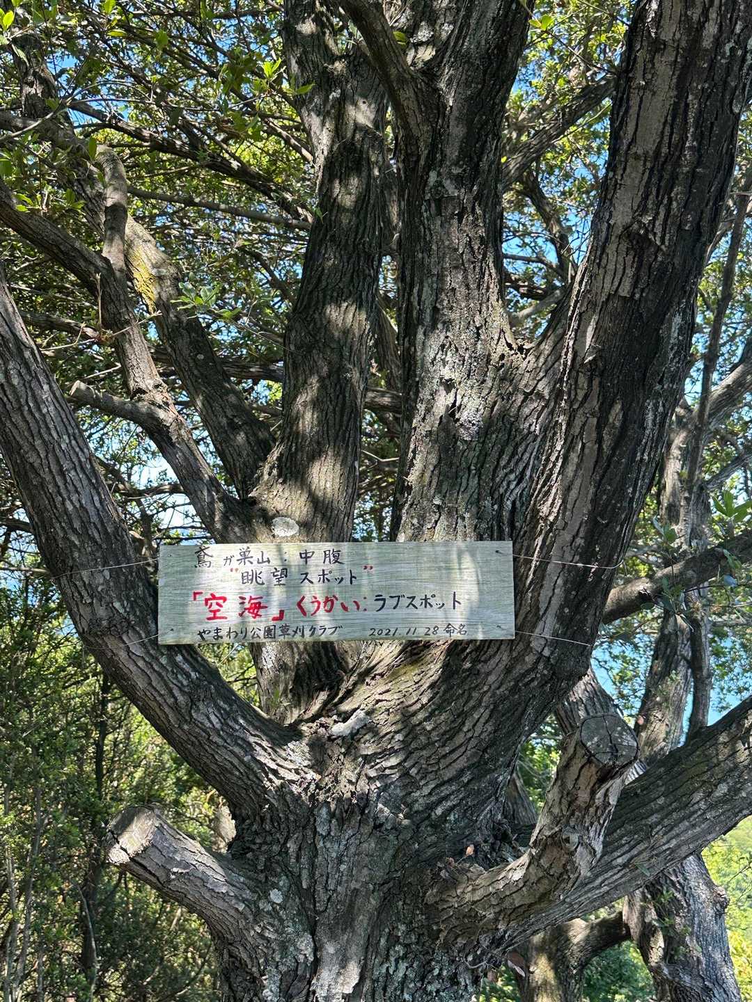 内海農協前バス停-鳶ガ巣山-切石山登山口 周回コースの写真