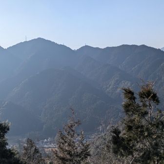 いい眺めです✨