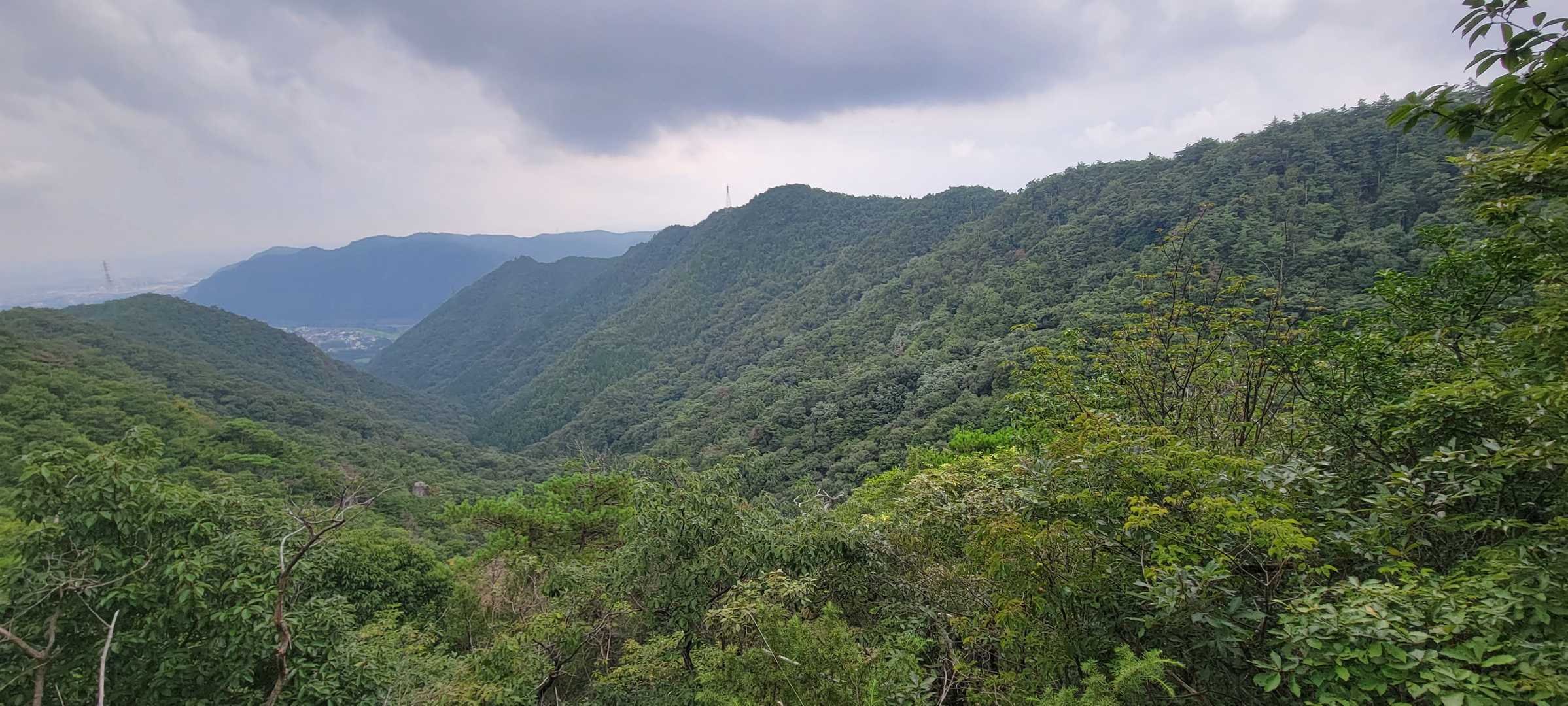 向山に向かう途中のこの景色、好き！