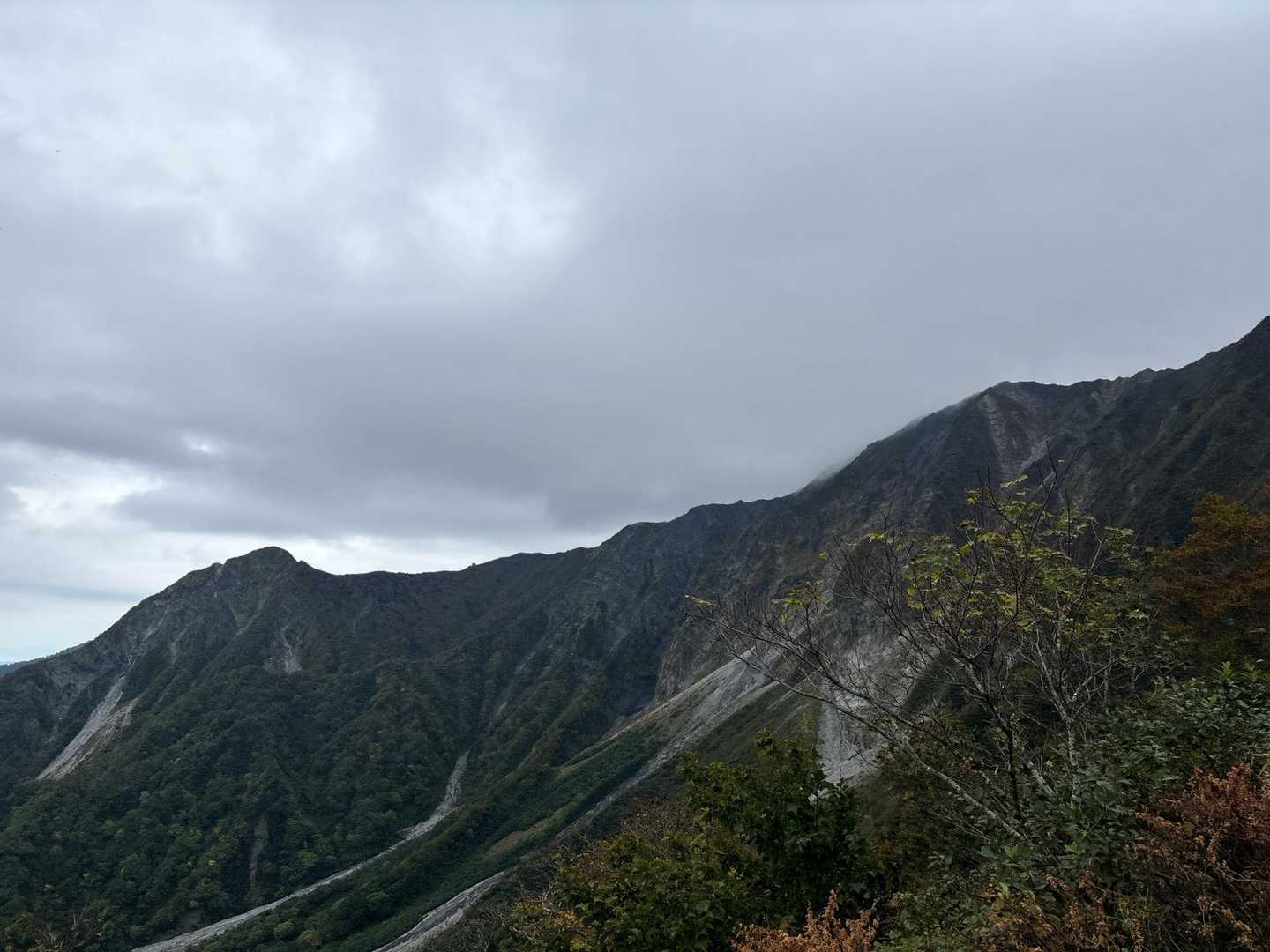 夏山登山道コースの写真
