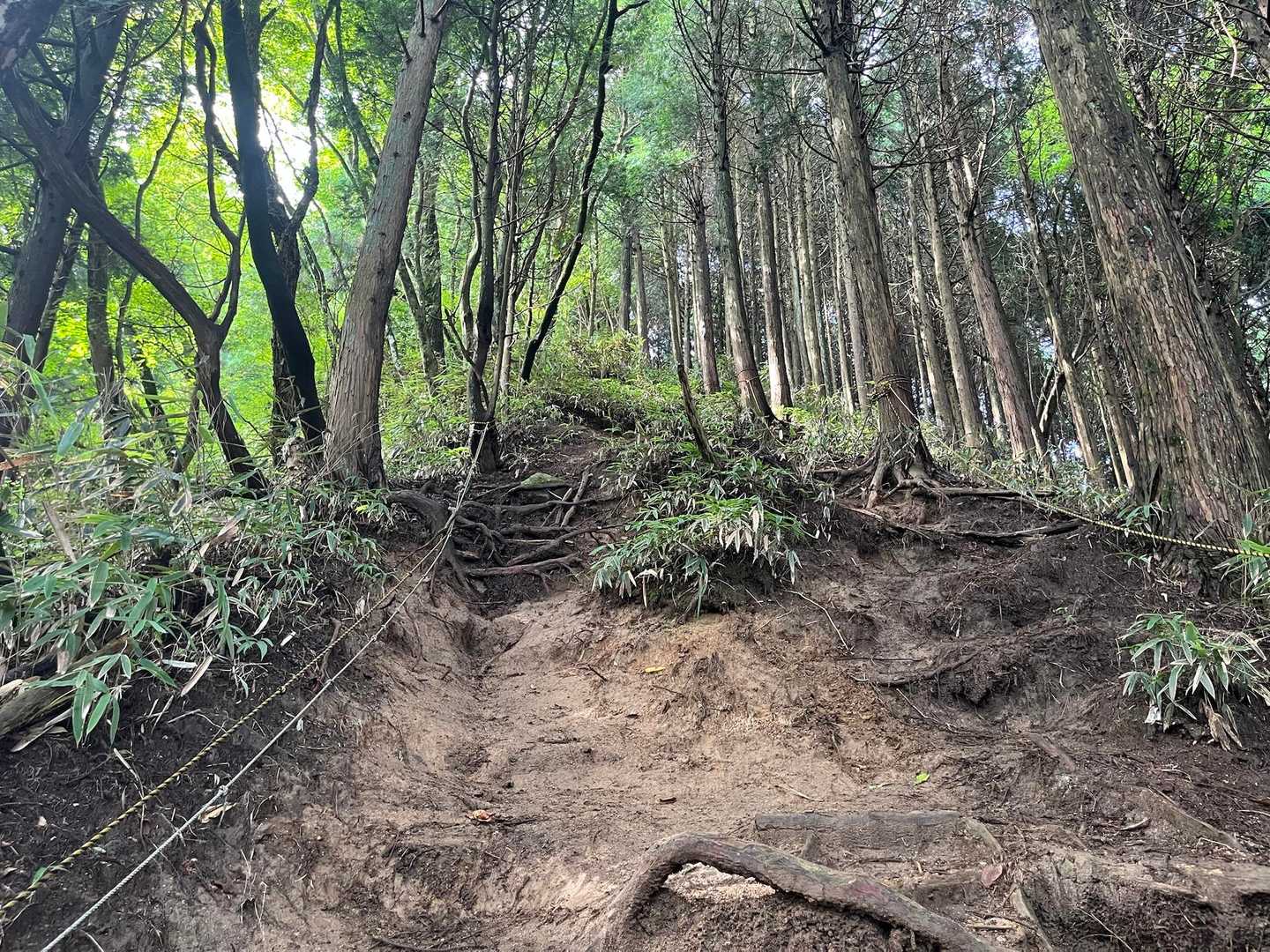 滑りそうな感じだけど、黒土じゃないので大丈夫🙆‍♀️