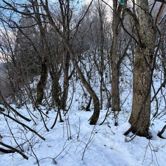 しばらくツボで🥾