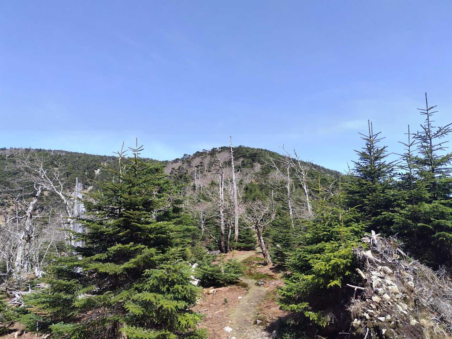 視界が開けて弥山が見えた
