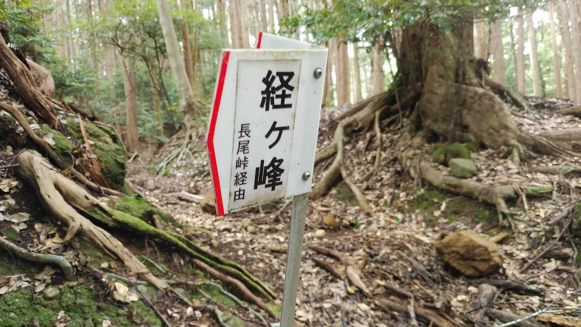長尾峠で下山していたようです。