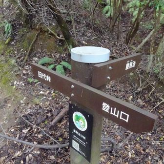 田代コースへ