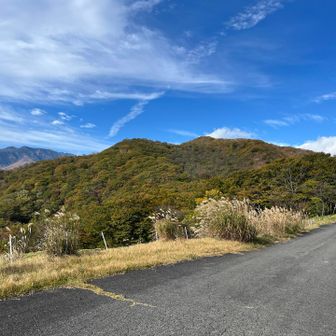 自分はもっと手前にクルマ停めちゃったけど、ゲートの目の前、このスペースに車停められそう