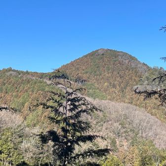 あれが、次に待ち構える麻生山。

山登り始めたばかりの時は、ピークハントするのがうれしい気持ちの大半を占めていましたが、だんだん気持ちが変わって来て、歩いてることだけで、喜びを感じるようになってきました。

ただ、初老のおっさんが、からだと折り合いつけて来た感想なんだと思いますが、それでも山登りの楽しさが色あせない自分がいます。