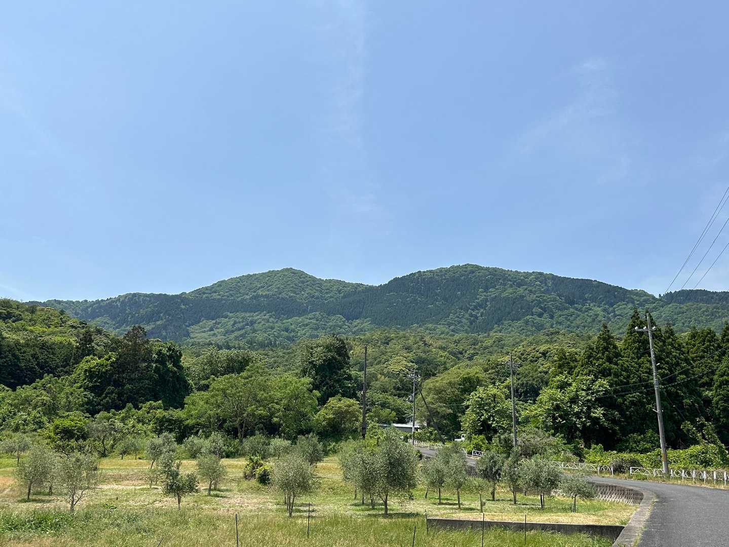 由良ヶ岳とオリーブ🫒畑

駅に向かって歩いていると、後ろから軽トラ🛻に乗った地元のおじさんに「駅まで行くんか？乗せてってやるよ」と声をかけられる
🧑🏻え、どうしよう…こんなオバサン誘拐しても何の得にもならんか！
ありがたく駅まで乗せていただきました♪
この辺りはいつも風が強いらしい🌪️
あのおじさんに幸あれ❗️