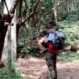 ヒロ（脱？皮下脂坊弁慶）