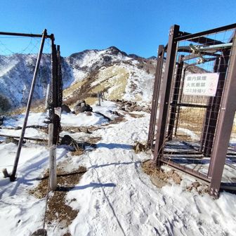 小丸山まで行ってみたけど風が強いー