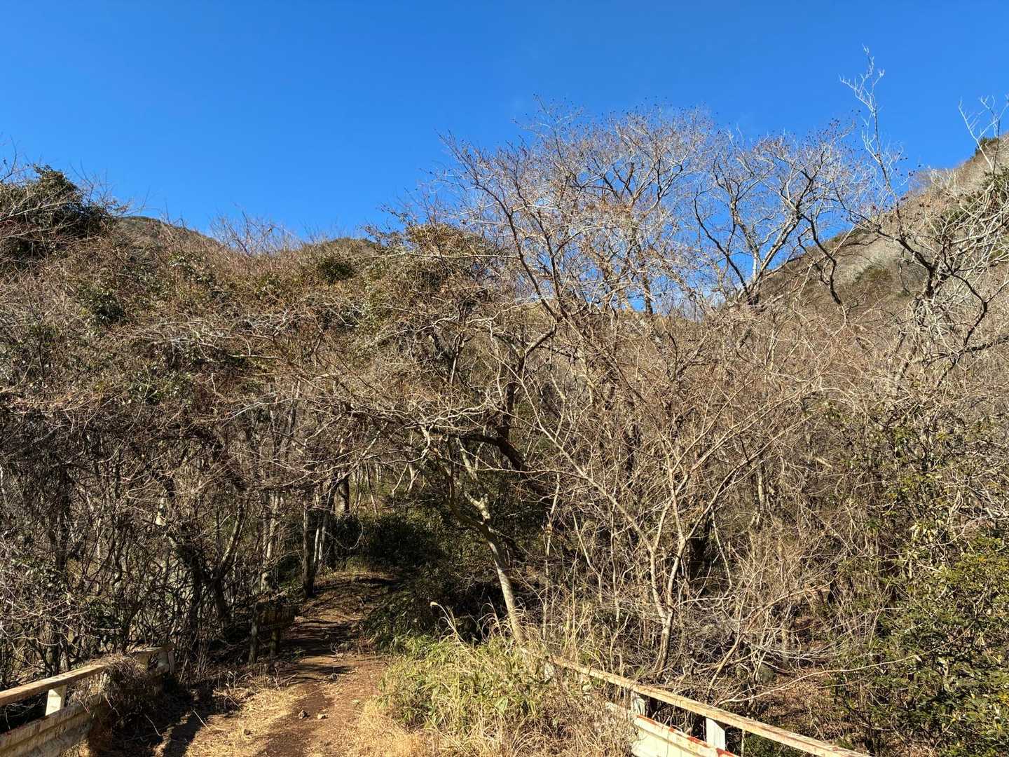 空は真っ青🩵
これは素晴らしい富士山が期待できそうだな🥰