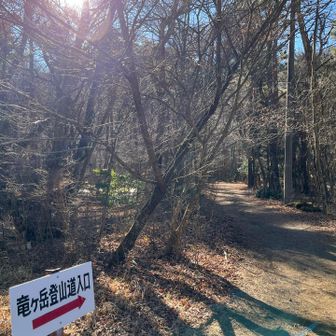 もしかしたらって樹氷も期待したんだけど