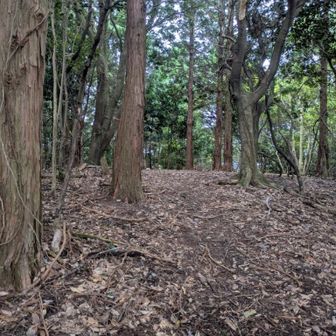 一枚山頭(広瀬コブ)