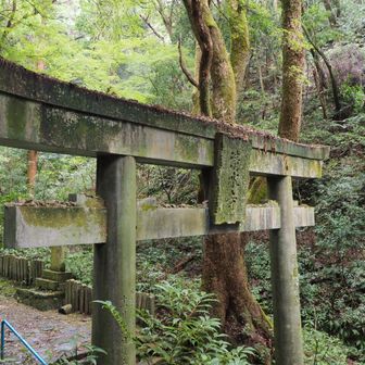 無事下山
暑くて湿気が多くて、汗びっしょり！