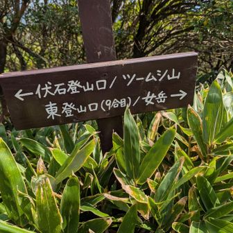 山頂で遊んだ後は
ツームシ山へ👈️