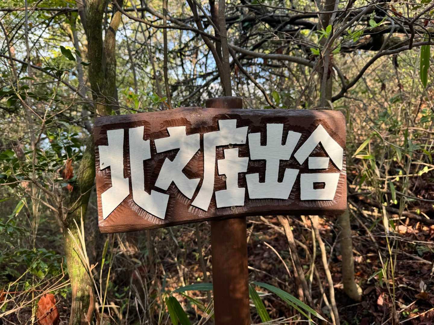 八幡神社登山口-西ノ丸-鶴翼山-高取の峠-打越の峠-岩崎山 周回コースの写真