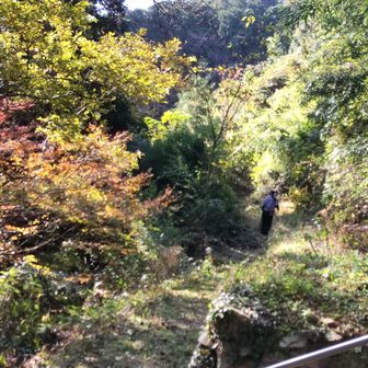 草刈り中なので