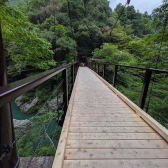 鳩ノ巣小橋の吊り橋。