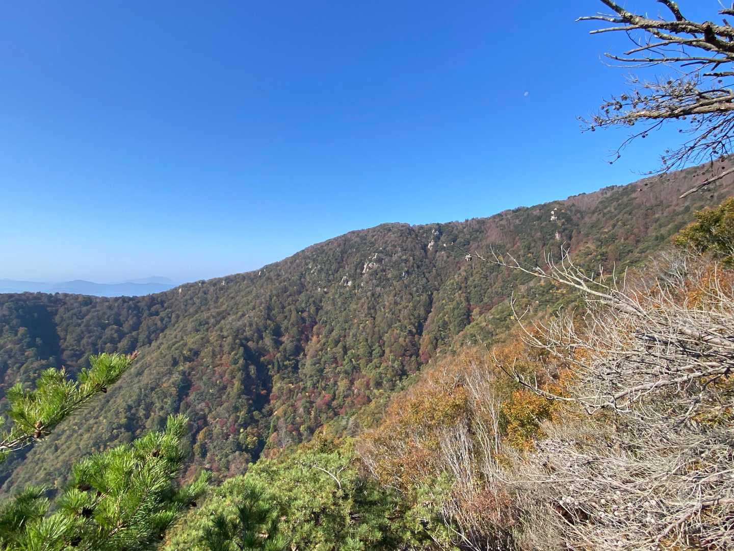 浦底バス停-蠑螺ヶ岳登山口-蠑螺が岳-カモシカ台-西方が岳 縦走コースの写真