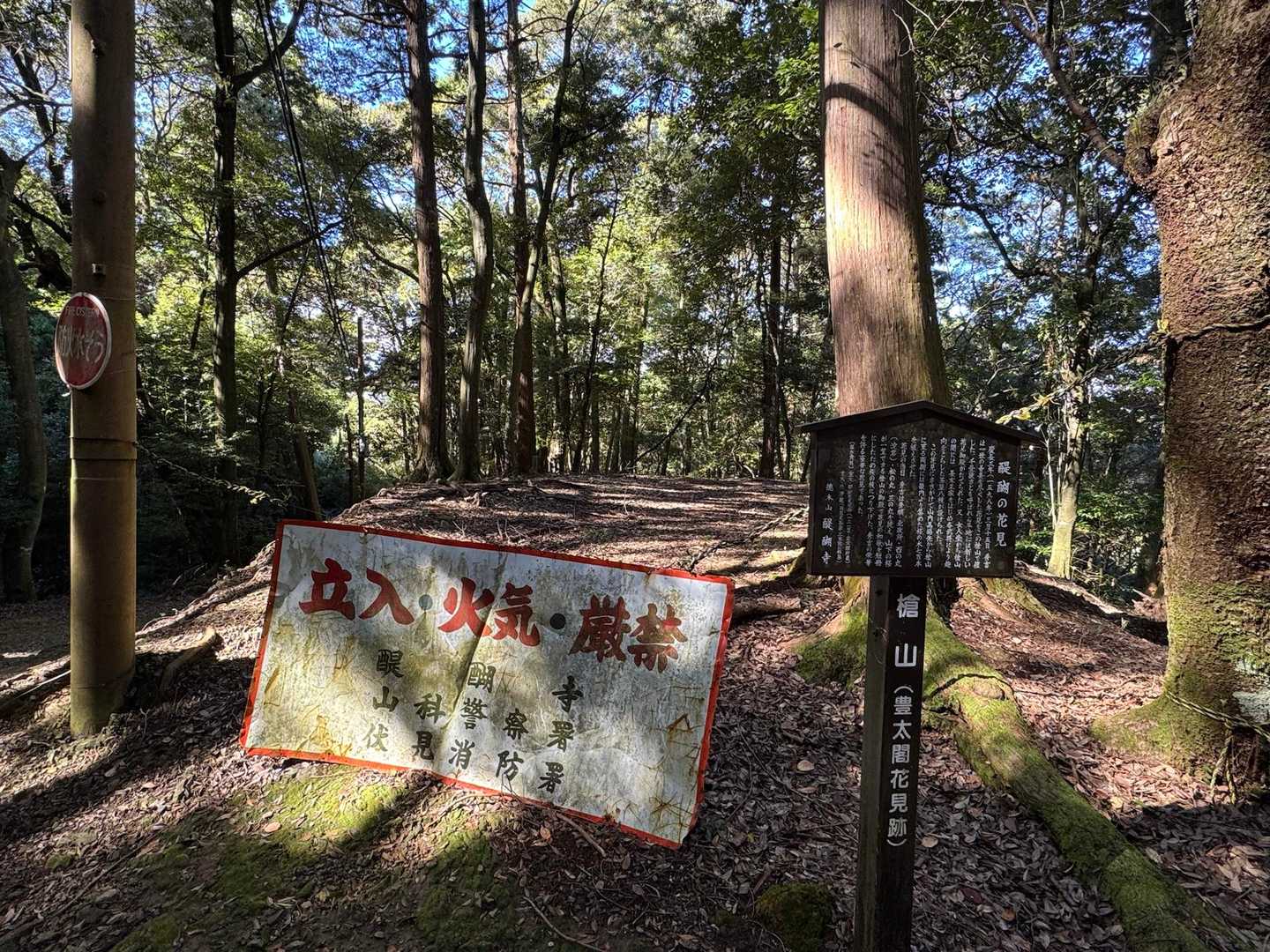 山道を結構歩くと鬱蒼とした杉が生えていますが、水平になった場所が現れました。
こちらは太閤秀吉が秀頼、女性群を連れて醍醐の花見をした場所だそうです。当時は下醍醐まで見通せる尾根の上で遠くは阿弥陀ヶ峰（秀吉の墓）まで見えたそうです。
自分が入る墓を見ながら花見をしていたのだそうです。