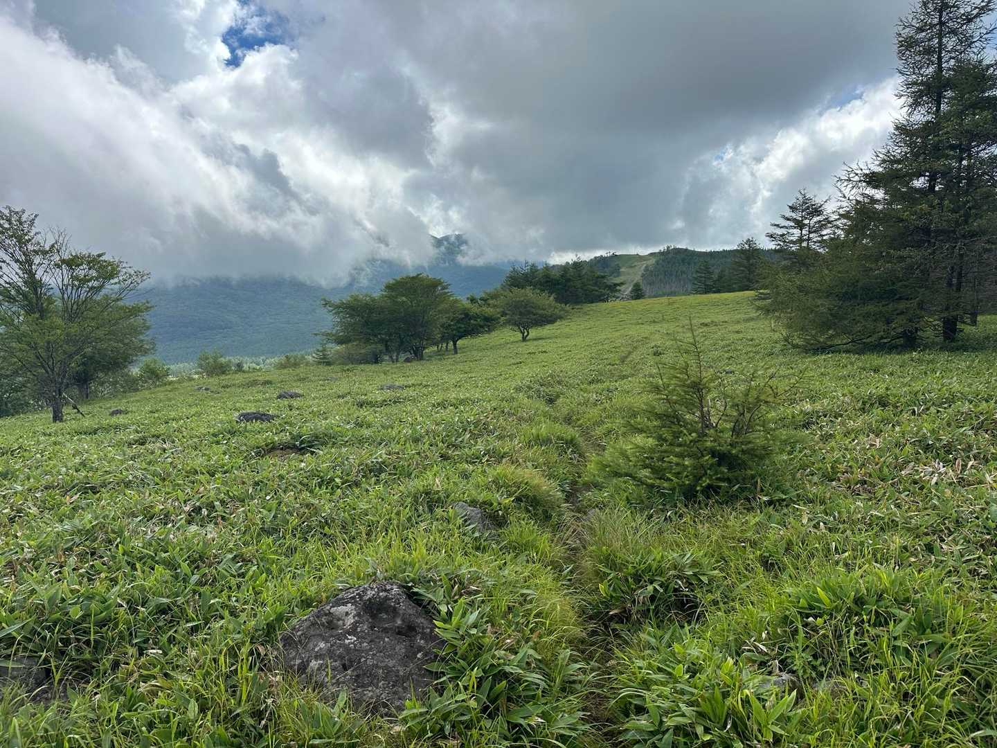 蓼科山登山口-八子ヶ峰東峰-八子ヶ峰 縦走コースの写真