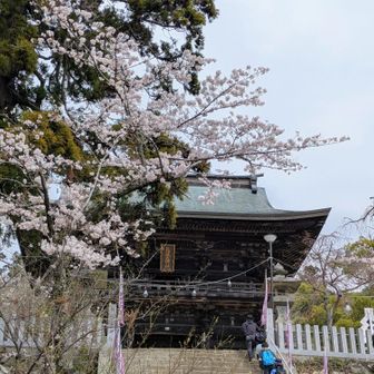 筑波山神社⛩️

登山口は神社の裏側にありまして、