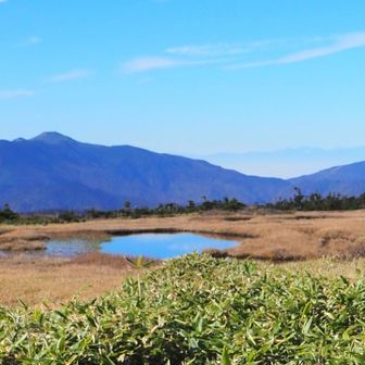 周回してから、戻ります。