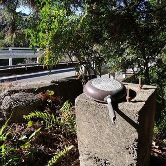 そしてこのフライパン
今年も会えました😆