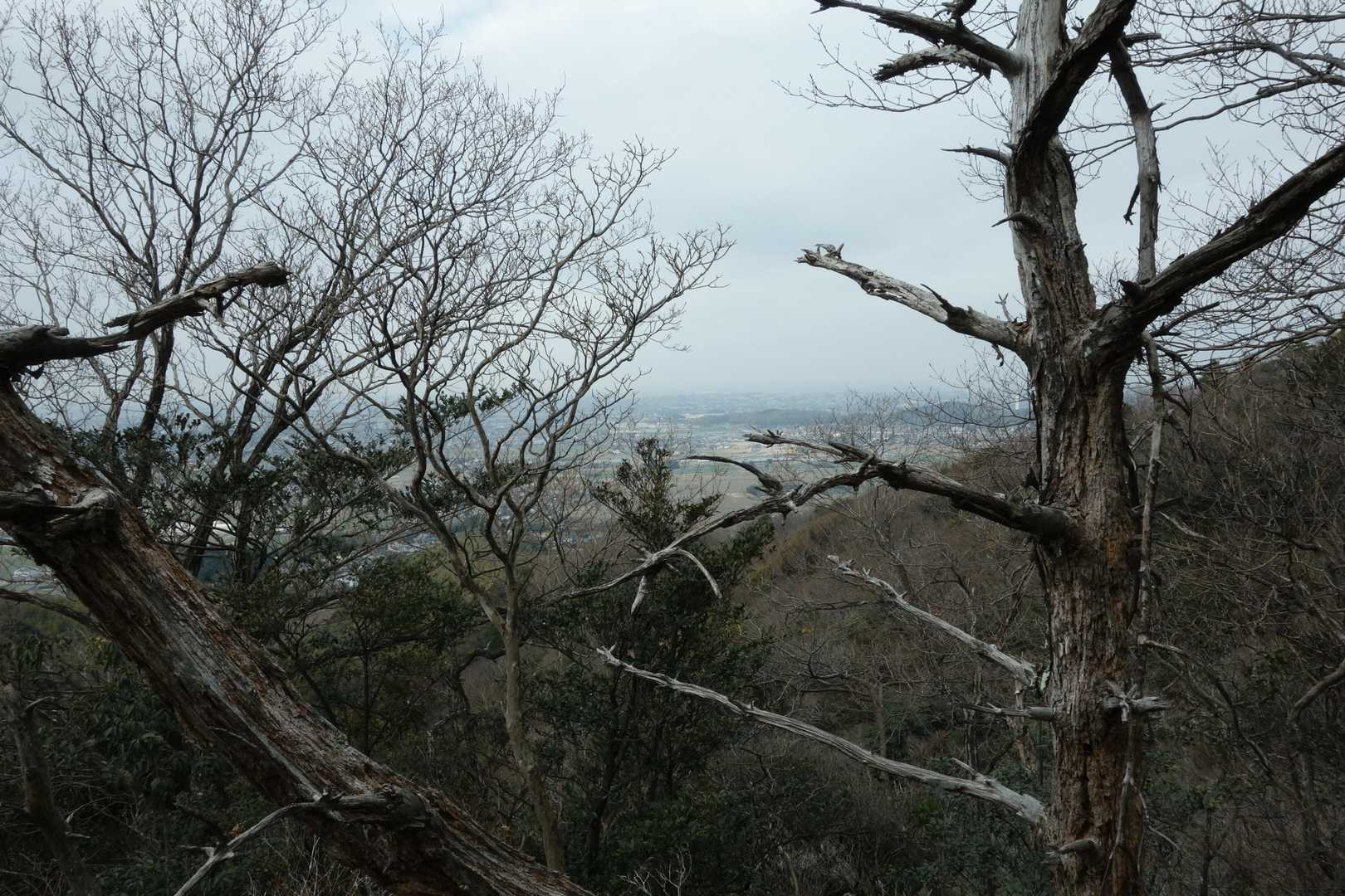 大入山の手前が少し開けて西の方が見えた。