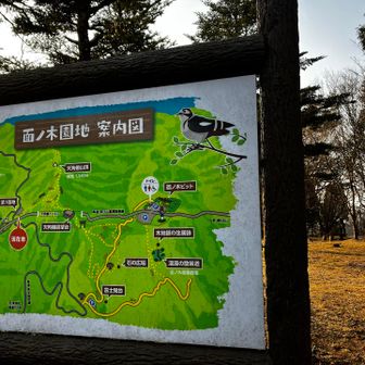 今日はここからスタート