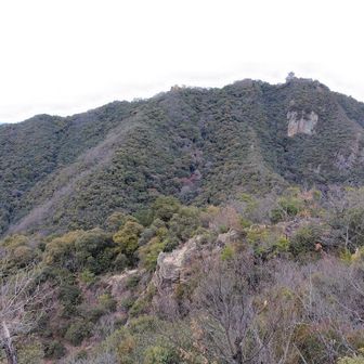 岩戸公園から登り出し間違えて妙見峠まで行ってしまい戻ってからの鷹巣山手前から金華山。グルっと回ってきます。