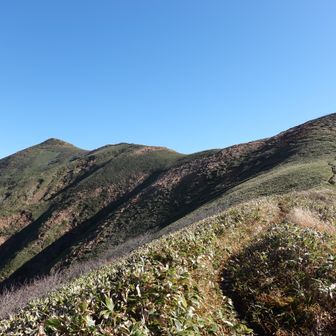 仙ノ倉山だと思っていたピークは遠いです
この辺りは緩やかですが、、、