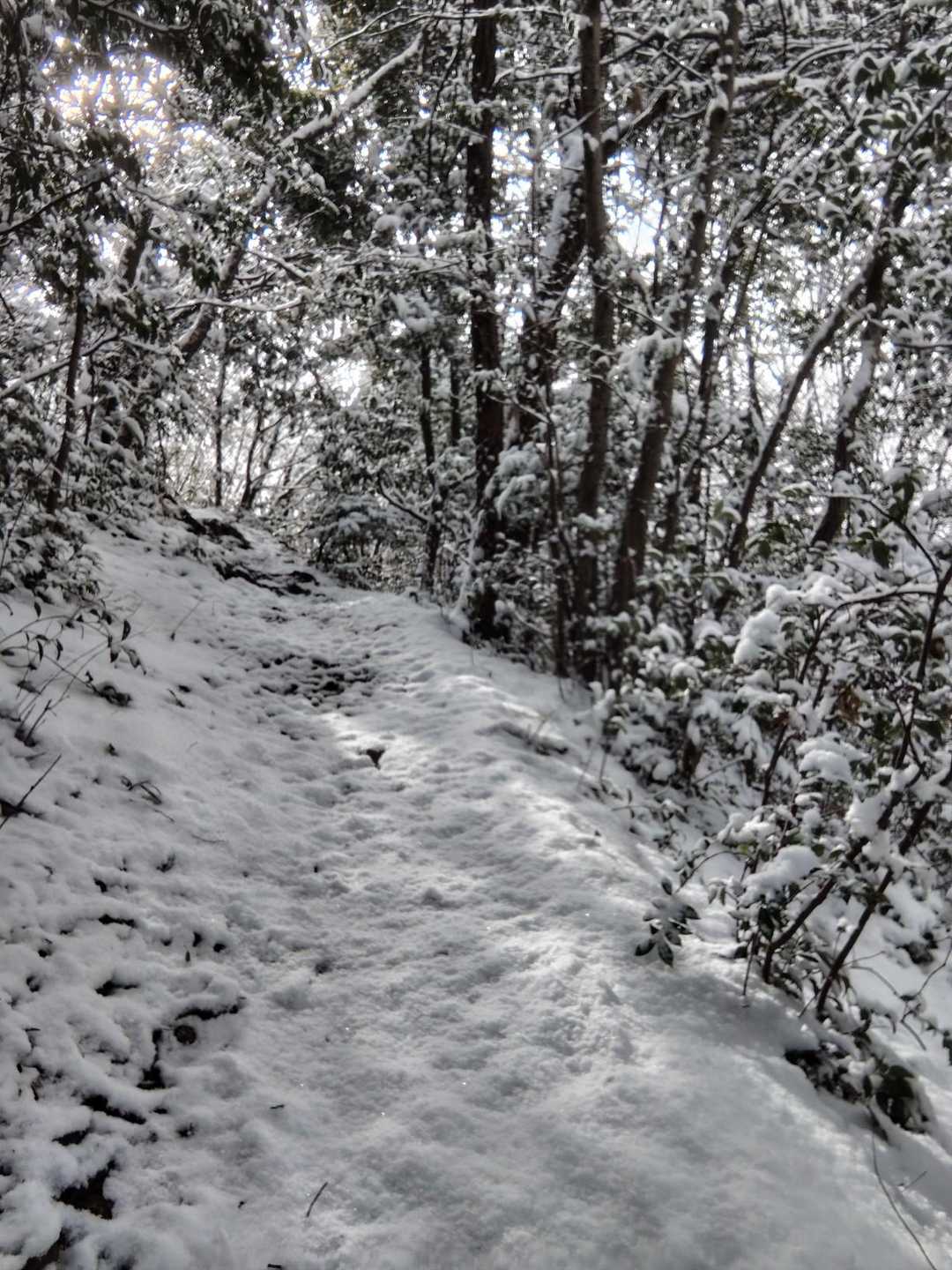 洞山 往復コースの写真