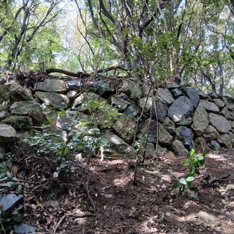 砲台さんへ行く