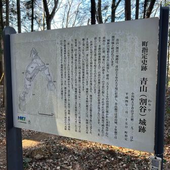 二座目の城山、結構お城があったであろう曲輪跡がしっかり残っていて城🏯マニアの方は喜びそう😊