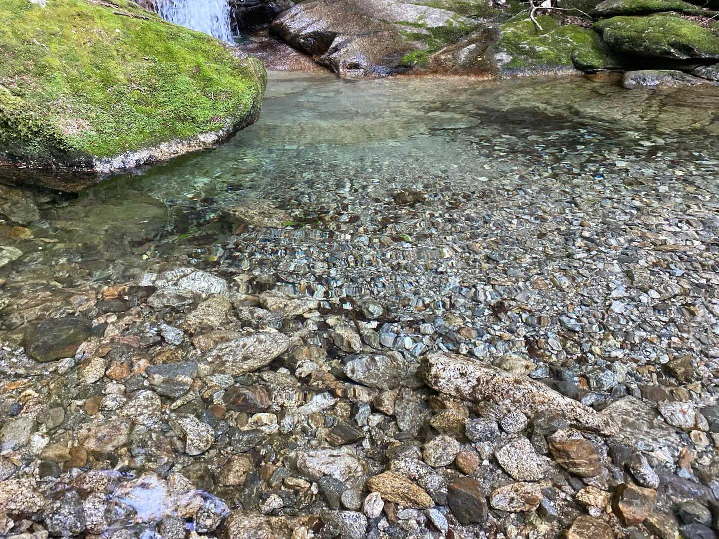 水がめっちゃキレイ